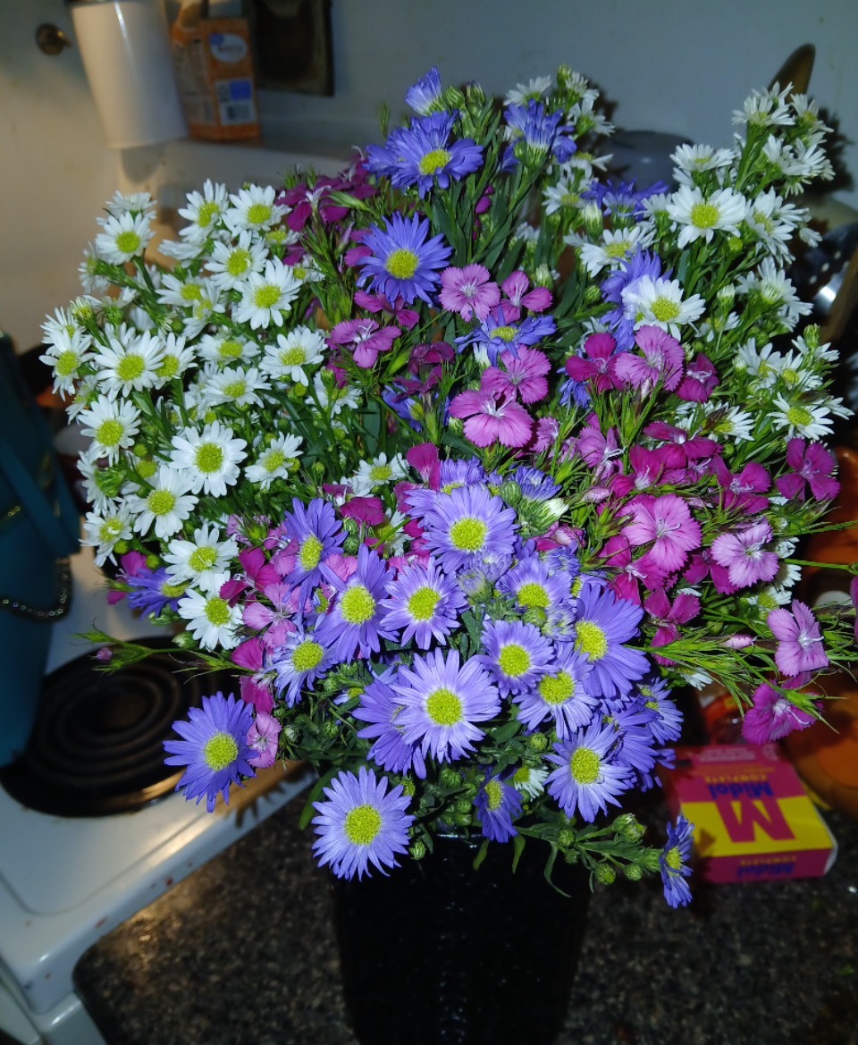 Purple and white aster bouquet
